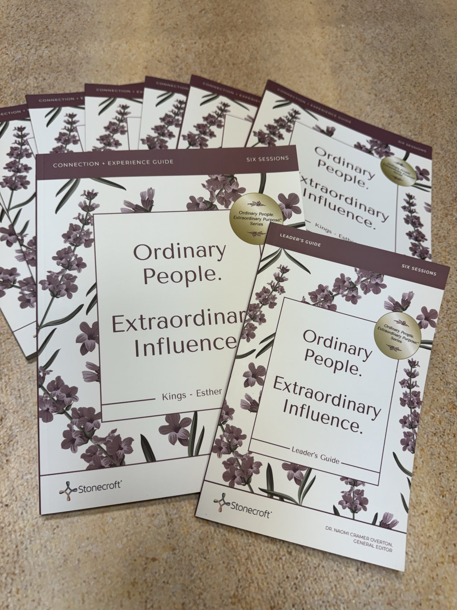 Everything You Need to Lead Ordinary People. Extraordinary Influence.