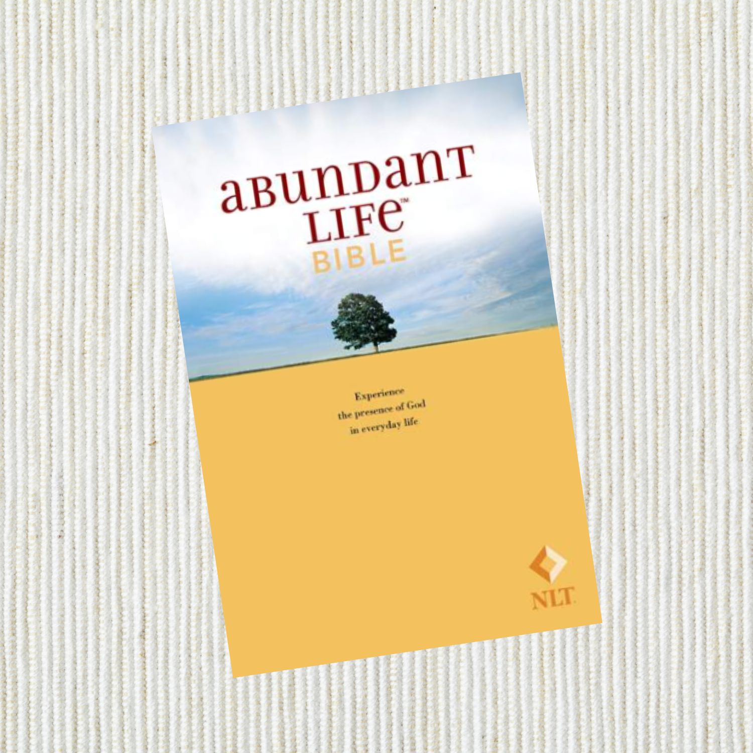 *Perfectly Imperfect* Abundant Life Bible